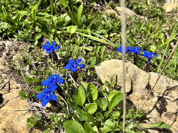 23-05-26 13-37-18 5705